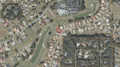 Beautiful 0.28-acre homesite located at 227 W Mickey Mantle Path on Skyview At Terra Vista Golf and Country Club in Florida - for sale on GolfHomes.com, golf home, golf lot