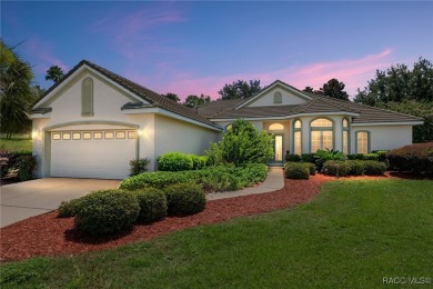 Welcome to your dream home in the heart of Terra Vista, one of on Skyview At Terra Vista Golf and Country Club in Florida - for sale on GolfHomes.com, golf home, golf lot