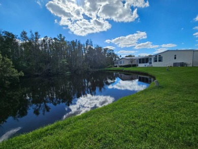 This 1995 Palm Harbor has lovely pond views and (no water on Big Cypress Golf and Country Club in Florida - for sale on GolfHomes.com, golf home, golf lot