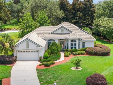 Welcome to your dream home in the heart of Terra Vista, one of on Skyview At Terra Vista Golf and Country Club in Florida - for sale on GolfHomes.com, golf home, golf lot