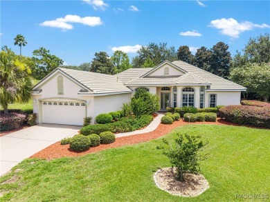 Welcome to your dream home in the heart of Terra Vista, one of on Skyview At Terra Vista Golf and Country Club in Florida - for sale on GolfHomes.com, golf home, golf lot
