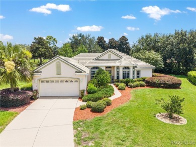 Welcome to your dream home in the heart of Terra Vista, one of on Skyview At Terra Vista Golf and Country Club in Florida - for sale on GolfHomes.com, golf home, golf lot