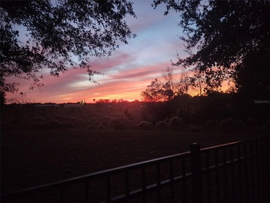 Under contract-accepting backup offers. Looking for outdoor on Eagle Ridge At Spruce Creek Country Club in Florida - for sale on GolfHomes.com, golf home, golf lot