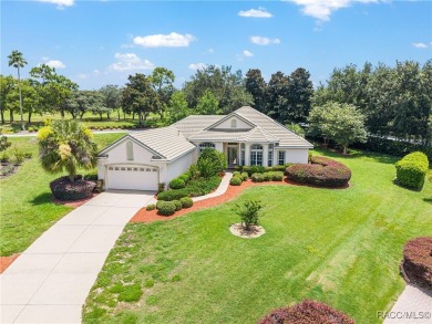 Welcome to your dream home in the heart of Terra Vista, one of on Skyview At Terra Vista Golf and Country Club in Florida - for sale on GolfHomes.com, golf home, golf lot