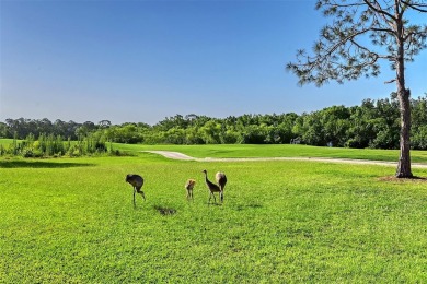 $50,000 price reduction makes this an extraordinary Value.  Live on Legacy Golf Club in Florida - for sale on GolfHomes.com, golf home, golf lot