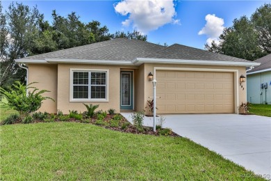 Brand new gorgeous home with an amazing golf course view! on Twisted Oaks Golf Club in Florida - for sale on GolfHomes.com, golf home, golf lot