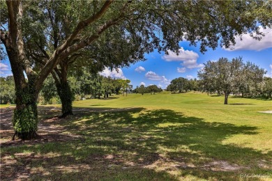 Brand new gorgeous home with an amazing golf course view! on Twisted Oaks Golf Club in Florida - for sale on GolfHomes.com, golf home, golf lot