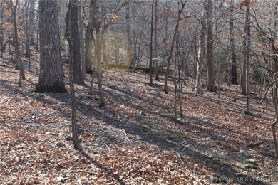 This property features 2 combined lots, creating a spacious on The Club At Porto Cima in Missouri - for sale on GolfHomes.com, golf home, golf lot