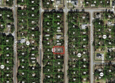 Buildable homesite in Citrus Springs offering an excellent on Pine Ridge Community Golf and Country Club in Florida - for sale on GolfHomes.com, golf home, golf lot