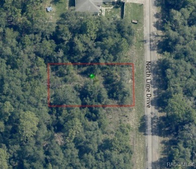 Buildable homesite in Citrus Springs offering an excellent on Pine Ridge Community Golf and Country Club in Florida - for sale on GolfHomes.com, golf home, golf lot