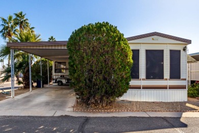 Vacant and ready for a contract! This cute 2 bedroom, 1.5 bath on Viewpoint Golf Resort in Arizona - for sale on GolfHomes.com, golf home, golf lot
