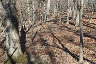 This property features 2 combined lots, creating a spacious on The Club At Porto Cima in Missouri - for sale on GolfHomes.com, golf home, golf lot