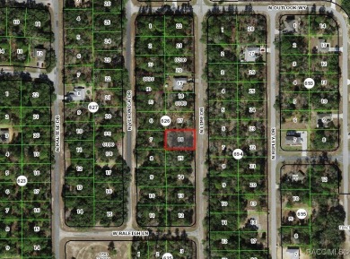 Buildable homesite in Citrus Springs offering an excellent on Pine Ridge Community Golf and Country Club in Florida - for sale on GolfHomes.com, golf home, golf lot
