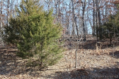 This property features 2 combined lots, creating a spacious on The Club At Porto Cima in Missouri - for sale on GolfHomes.com, golf home, golf lot