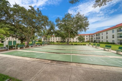 Welcome to Mediterranean Manor, a vibrant waterfront community on The Dunedin Country Club in Florida - for sale on GolfHomes.com, golf home, golf lot