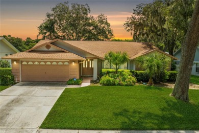 Nestled in the sought-after Buckhorn Golf Community, this on Buckhorn Springs Golf and Country Club in Florida - for sale on GolfHomes.com, golf home, golf lot