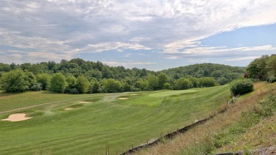BRAND NEW CONSTRUCTED HOME with golf course living at its BEST on Auburn Hills Golf Club in Virginia - for sale on GolfHomes.com, golf home, golf lot