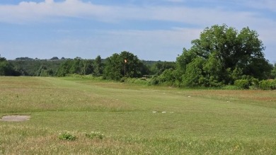 MUST SELL!   Investor's Dream - Prime Location in Horseshoe Bend on Horseshoe Bend Country Club in Texas - for sale on GolfHomes.com, golf home, golf lot
