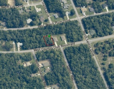 Buildable homesite in Citrus Springs offering an excellent on Citrus Springs Country Club in Florida - for sale on GolfHomes.com, golf home, golf lot