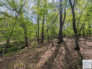 Located in Patrick County, this 12.15 acre tract offers rolling on Gordon Trent Golf Course, Inc. in Virginia - for sale on GolfHomes.com, golf home, golf lot