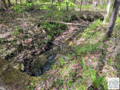 Located in Patrick County, this 12.15 acre tract offers rolling on Gordon Trent Golf Course, Inc. in Virginia - for sale on GolfHomes.com, golf home, golf lot