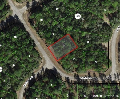 Buildable homesite in Citrus Springs offering an excellent on Citrus Springs Country Club in Florida - for sale on GolfHomes.com, golf home, golf lot