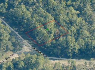 Buildable homesite in Citrus Springs offering an excellent on Citrus Springs Country Club in Florida - for sale on GolfHomes.com, golf home, golf lot