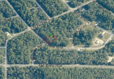 Buildable homesite in Citrus Springs offering an excellent on Citrus Springs Country Club in Florida - for sale on GolfHomes.com, golf home, golf lot