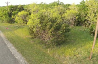 Vacant, ready to build! 0.35-acres wooded lot within White Bluff on White Bluff Resort - New Course in Texas - for sale on GolfHomes.com, golf home, golf lot