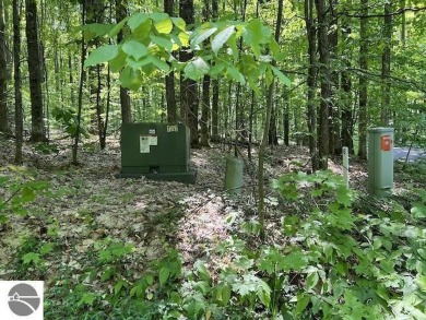 Towering hardwoods in a quiet cul-de-sac location and a large on Cedar River Golf Course in Michigan - for sale on GolfHomes.com, golf home, golf lot