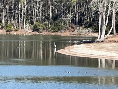 Enjoy The Spectacular Views of the 40 Acre Lake from the The on Prestwick Country Club in South Carolina - for sale on GolfHomes.com, golf home, golf lot