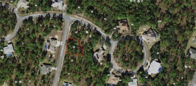 The 0.26-acre wooded lot at 7 Drypetes Drive in Sugarmill Woods on Sugarmill Woods Golf and Country Club in Florida - for sale on GolfHomes.com, golf home, golf lot