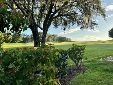 Truly an EXCEPTIONAL OPPORTUNITY to live in the heart one of on Skyview At Terra Vista Golf and Country Club in Florida - for sale on GolfHomes.com, golf home, golf lot