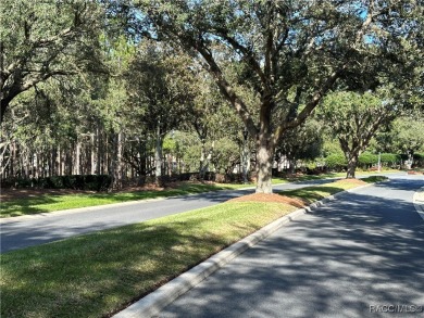 Truly an EXCEPTIONAL OPPORTUNITY to live in the heart one of on Skyview At Terra Vista Golf and Country Club in Florida - for sale on GolfHomes.com, golf home, golf lot