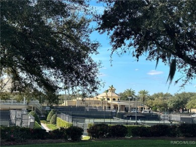 Truly an EXCEPTIONAL OPPORTUNITY to live in the heart one of on Skyview At Terra Vista Golf and Country Club in Florida - for sale on GolfHomes.com, golf home, golf lot