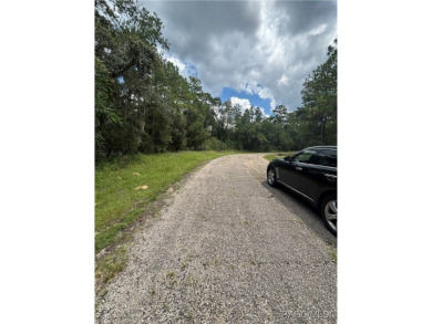Nestled in the heart of Citrus Springs, this residential on Citrus Springs Country Club in Florida - for sale on GolfHomes.com, golf home, golf lot