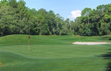 Nestled in the heart of Citrus Springs, this residential on Citrus Springs Country Club in Florida - for sale on GolfHomes.com, golf home, golf lot