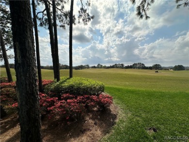 Truly an EXCEPTIONAL OPPORTUNITY to live in the heart one of on Skyview At Terra Vista Golf and Country Club in Florida - for sale on GolfHomes.com, golf home, golf lot