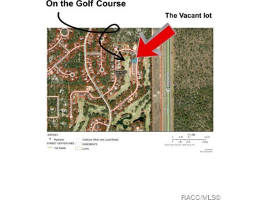 Imagine waking up each morning to golden sunlight streaming in on Southern Woods Golf Club in Florida - for sale on GolfHomes.com, golf home, golf lot