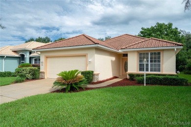 Welcome to Terra Vista, a premier gated resort-style community on Skyview At Terra Vista Golf and Country Club in Florida - for sale on GolfHomes.com, golf home, golf lot