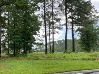 This is a 0.28 acre build-able lot has views of marsh and the on The Golf Club At Sanctuary Cove in Georgia - for sale on GolfHomes.com, golf home, golf lot