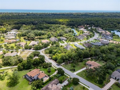 Beautiful Custom Built Skyway Home in Pristine Condition. Ready on Grand Haven Golf Club in Florida - for sale on GolfHomes.com, golf home, golf lot