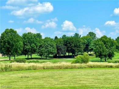 Prepare to be captivated by this classic and beautiful custom on Shady Hollow Country Club in Ohio - for sale on GolfHomes.com, golf home, golf lot
