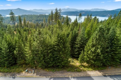 A Gozzer Ranch Golf and Lake Club Lot. Amenities include a Tom on Gozzer Ranch Golf and Lake Club in Idaho - for sale on GolfHomes.com, golf home, golf lot