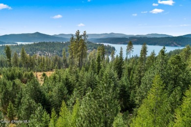 A Gozzer Ranch Golf and Lake Club Lot. Amenities include a Tom on Gozzer Ranch Golf and Lake Club in Idaho - for sale on GolfHomes.com, golf home, golf lot