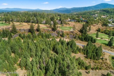 A Gozzer Ranch Golf and Lake Club Lot. Amenities include a Tom on Gozzer Ranch Golf and Lake Club in Idaho - for sale on GolfHomes.com, golf home, golf lot