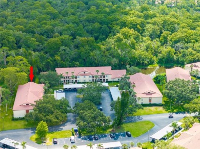 Located in the desirable East Lake area, this updated 2-bedroom on Tarpon Woods Golf Club in Florida - for sale on GolfHomes.com, golf home, golf lot