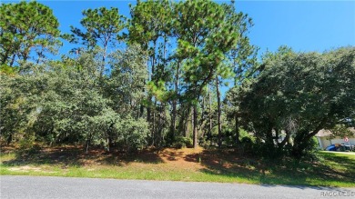 Beautiful homesite on smooth paved road in the growing on Pine Ridge Community Golf and Country Club in Florida - for sale on GolfHomes.com, golf home, golf lot