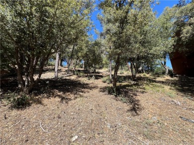 Discover the perfect spot for your future home at 1416 Banff on Pine Mountain Club in California - for sale on GolfHomes.com, golf home, golf lot