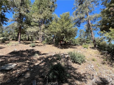 Discover the perfect spot for your future home at 1416 Banff on Pine Mountain Club in California - for sale on GolfHomes.com, golf home, golf lot
